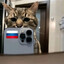 огурец