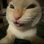 silent_Ss