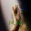 exdrama