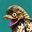 Pidgeoni