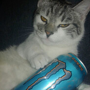 ✪ 𝖒𝖚𝖋𝟒𝖑𝖉 †