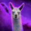 THEMYSTICLLAMA