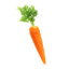 carrote