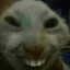 cheeser