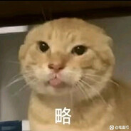 aaa不想哈气（见过耄耋版）