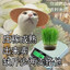 黨為我感到驕傲