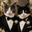 JesseJack