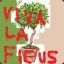 Ficus Revolution