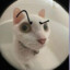 O_Dex