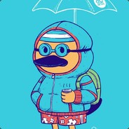 Mr. Duck