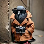 schpioniro golubiro SKINS