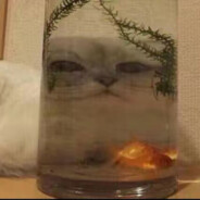 送你一朵幺鸡花