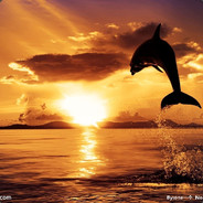 国王皇后一起上