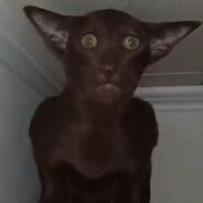 |★ 𝑓a𝑖𝑡𝔥 °|