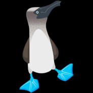 TheBlueFootedBooby