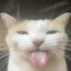 KitKat