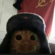 你是不是盐津虾尔多龙