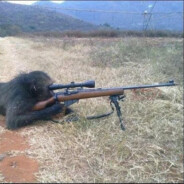 Sniper Monkey Péter