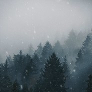 哥的心…*&*禁止访问