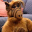 Alf