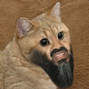 PVNDM
