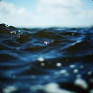 leafyisland