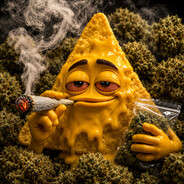 N4choZZ