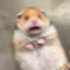 小西