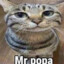 popachka