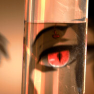 手撕口算训练rexha