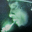 steez