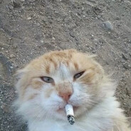 дабалью газик