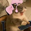 Badbbecky