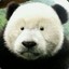 Shusheng