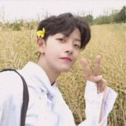 在野没有小鱼干