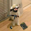 fxp_shadow