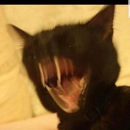 ебутся котята