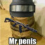 Мр Реnis