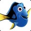 Dory