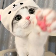 我是布洛特亨格尔我要杀光原批和嘉心糖捏