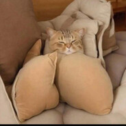 Chk