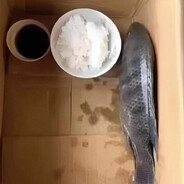 Fish With Rice