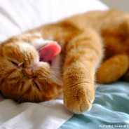 别骂了你要是像我这么菜你也难受