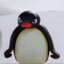 Pingu