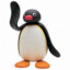 Pingu :D