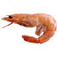 Shrimp