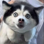 突破手才是归宿