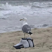 海带为什么叫海带？?