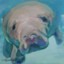 WPmanatee