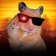 Pavle's avatar